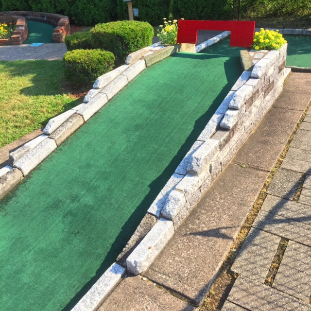 Hole #8 - Curved Flowers (Par 2)